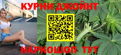 тгк Новодвинск