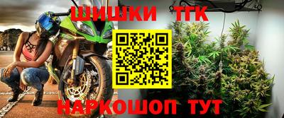 тгк Новодвинск