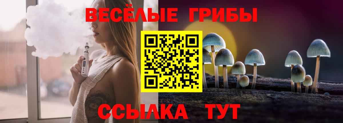 Сургут  Галлюциногенные грибы Psilocybe  Вход с VPN 