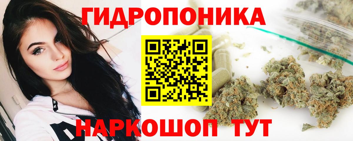 Сургут  Конопля OG Kush  Вход с VPN  Канабис тримм  Конопля SATIVA & INDICA 